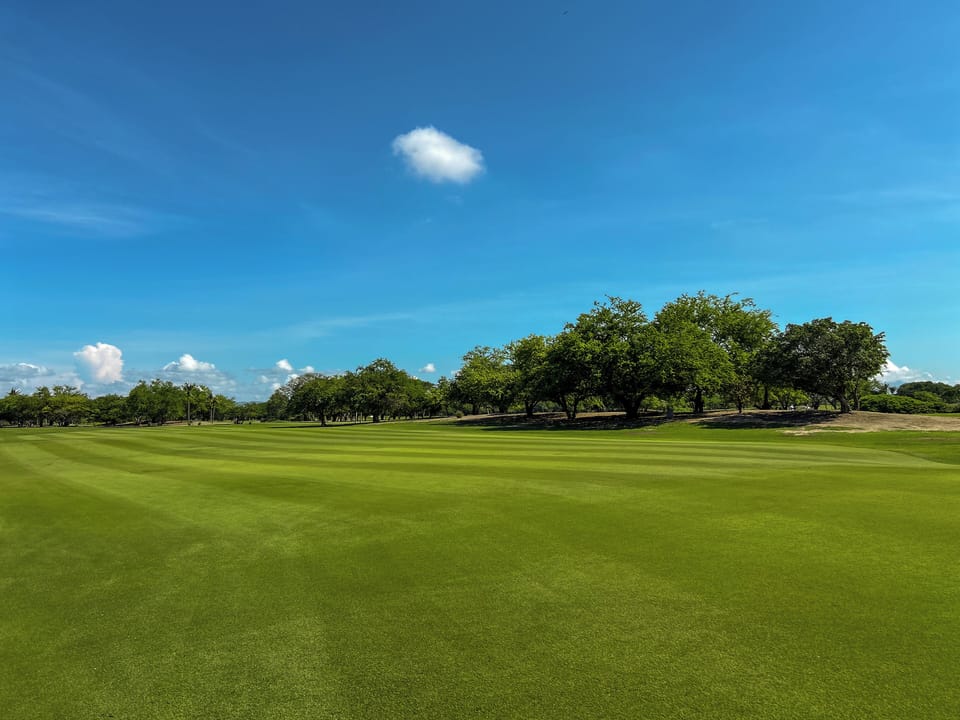 Golf course #3