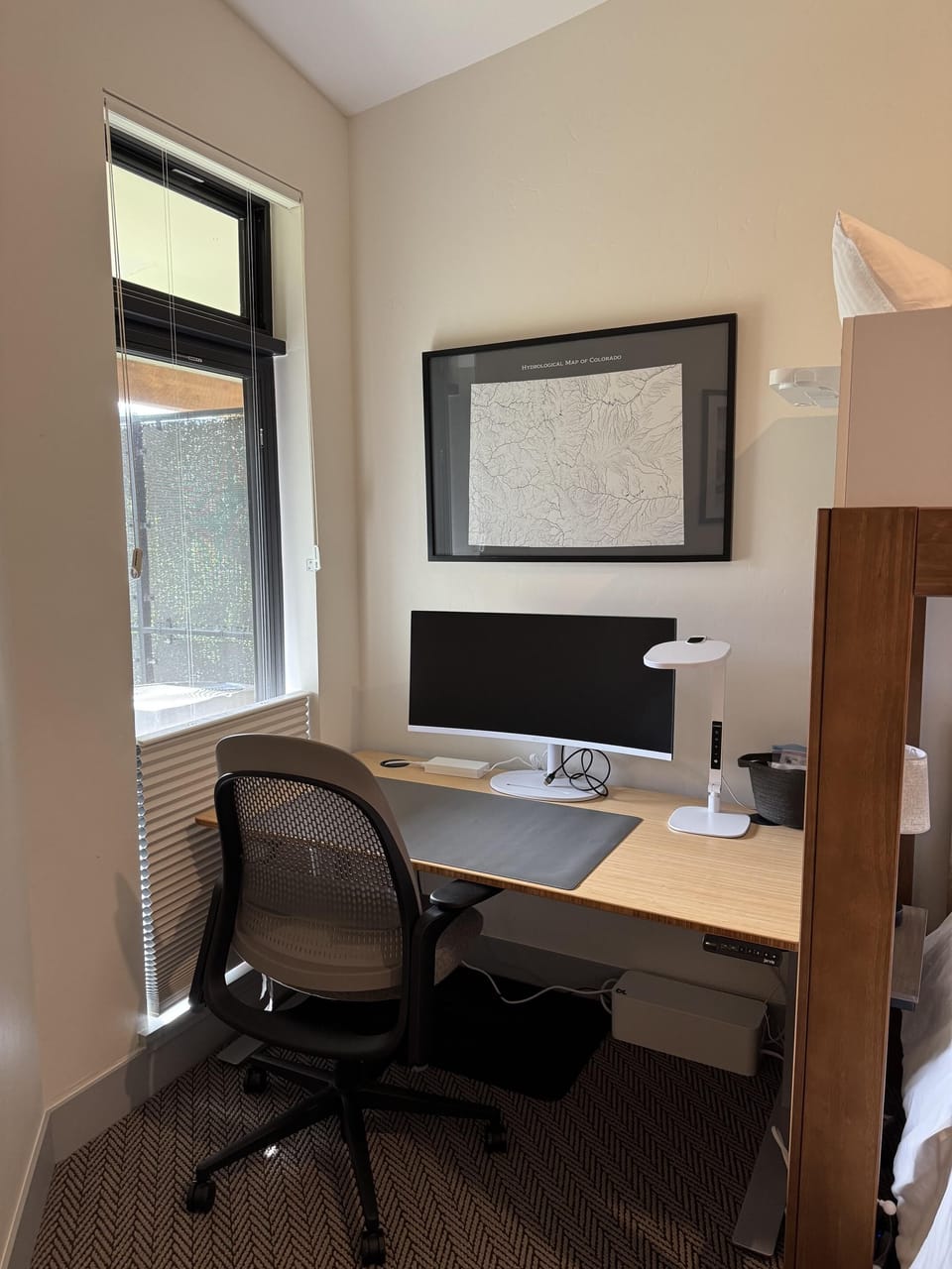 Work Desk and Monitor