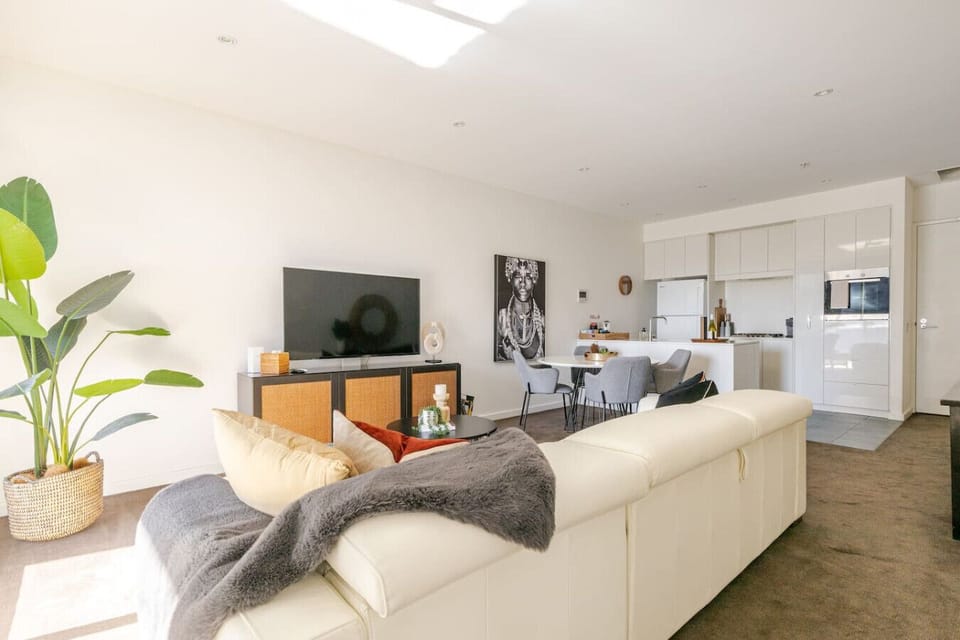 Open plan living, dining and kitchen bathed in natural light.