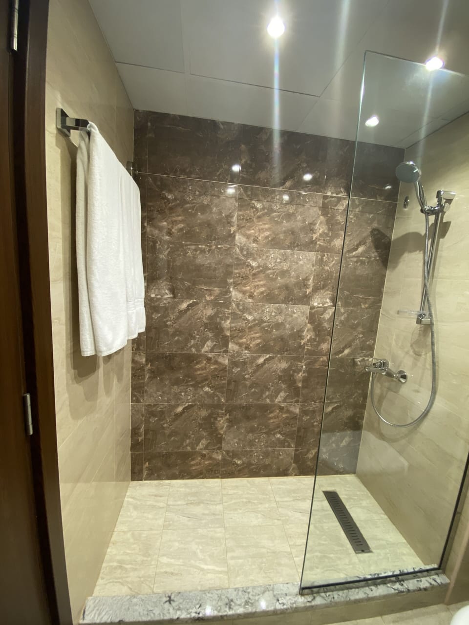 Combined shower/tub, free toiletries, towels