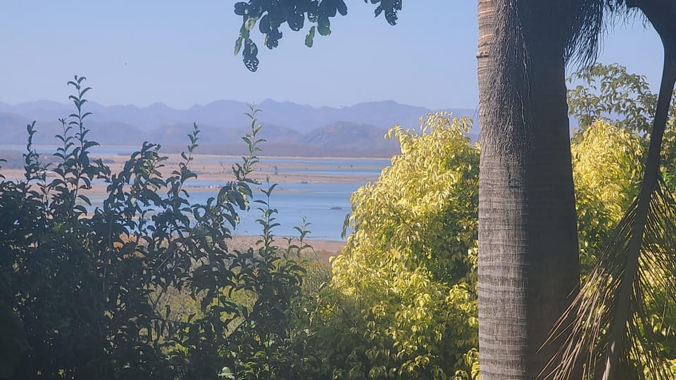 Land view from property