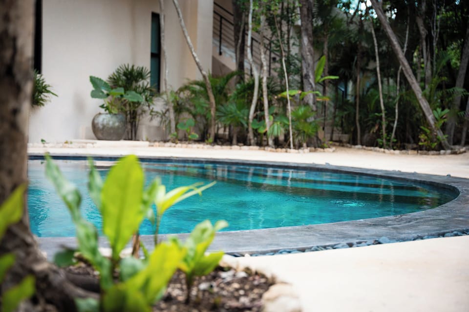2 outdoor pools