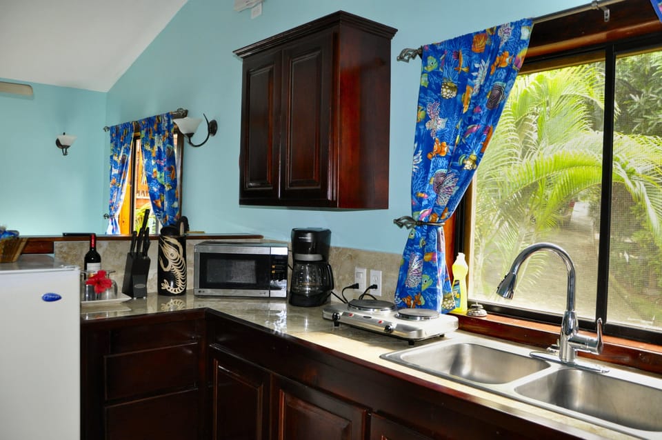 Superior Bungalow, 2 Queen Beds | Private kitchen | Full-size fridge, microwave, blender, coffee grinder