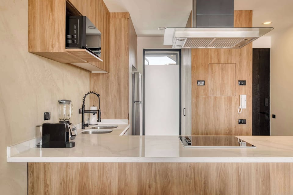 Apartment, 1 King Bed with Sofa bed, Balcony, City View (Piso Roma 7) | Private kitchen