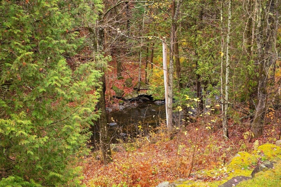 Activities nearby