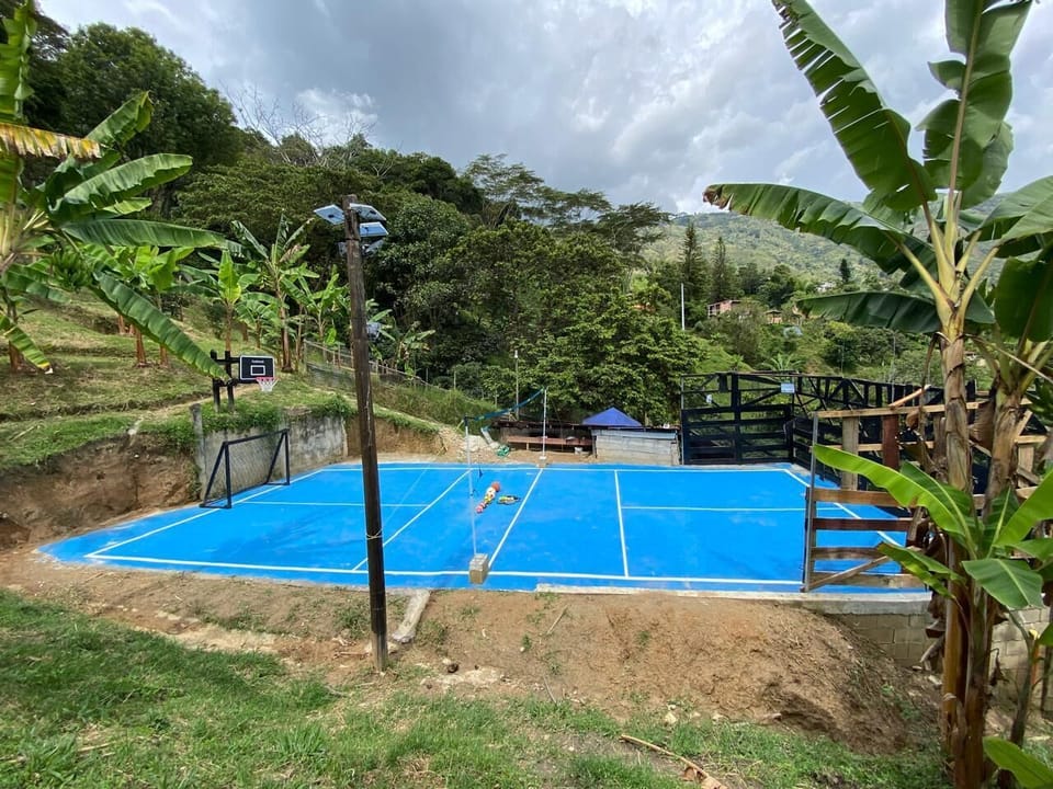 Sport court
