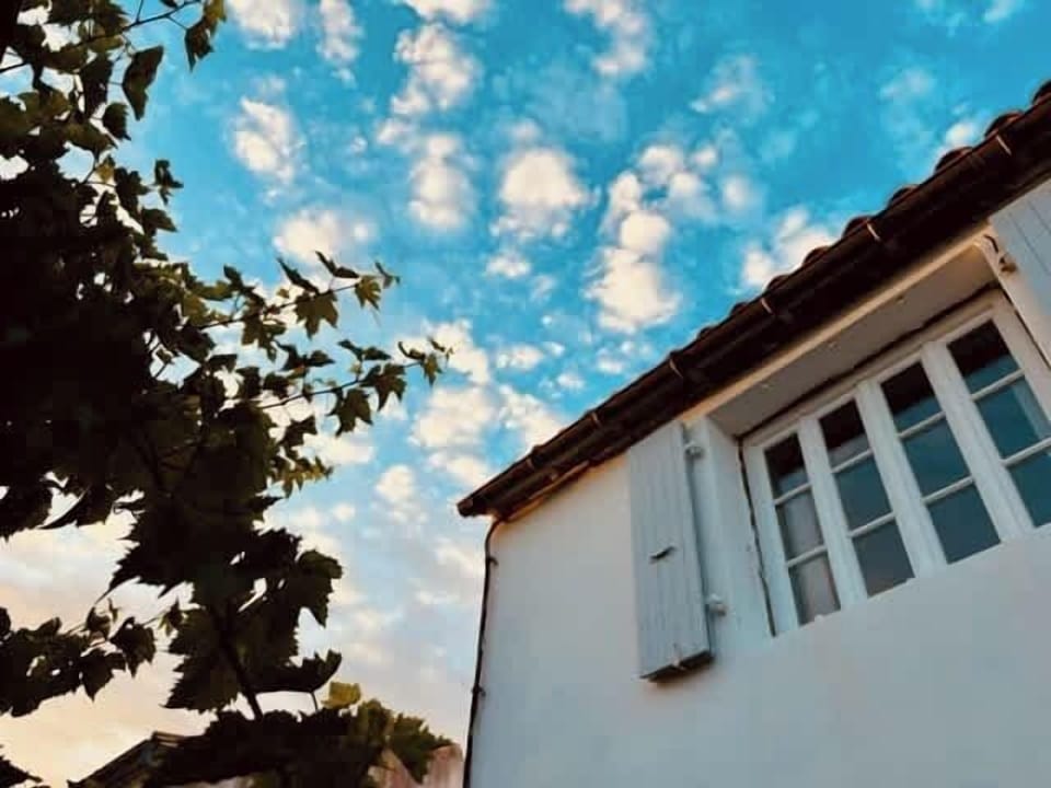 Vue sur le ciel.
