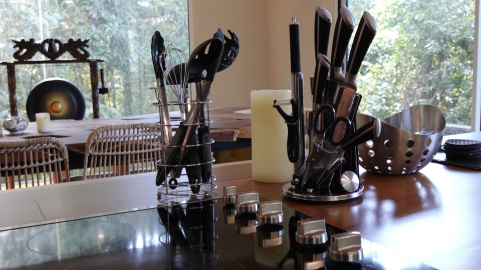 Family House, Balcony, Mountain View | Private kitchen | Blender, cleaning supplies