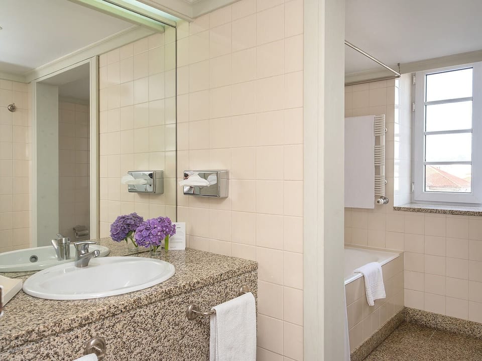 Bathtub, free toiletries, hair dryer, bidet