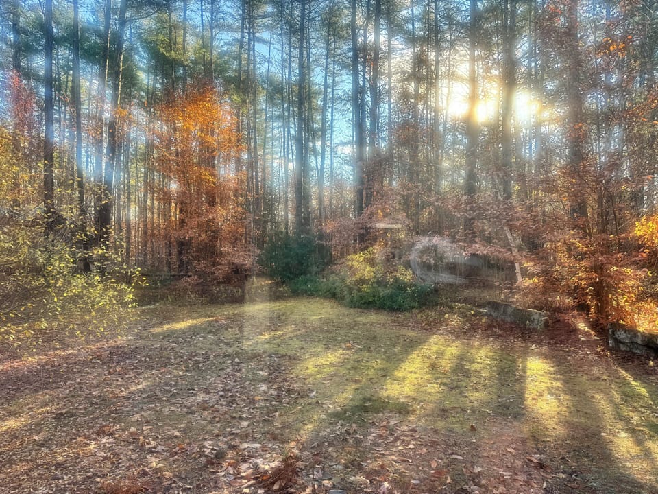 Miscellaneous