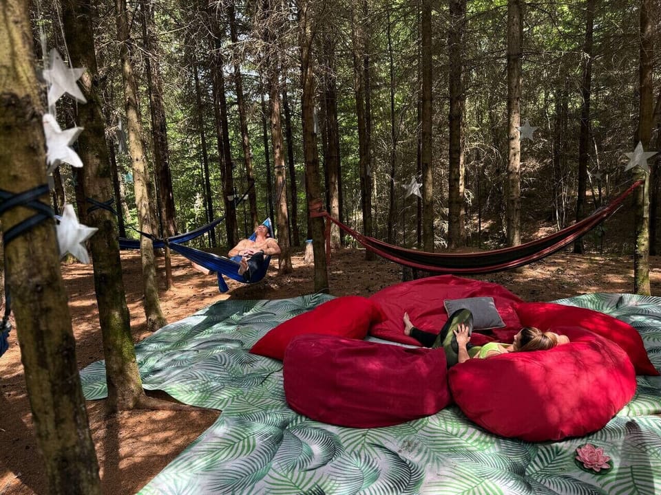 Espace hamacs rouge confortable installé dans la forêt pour détente en plein air.