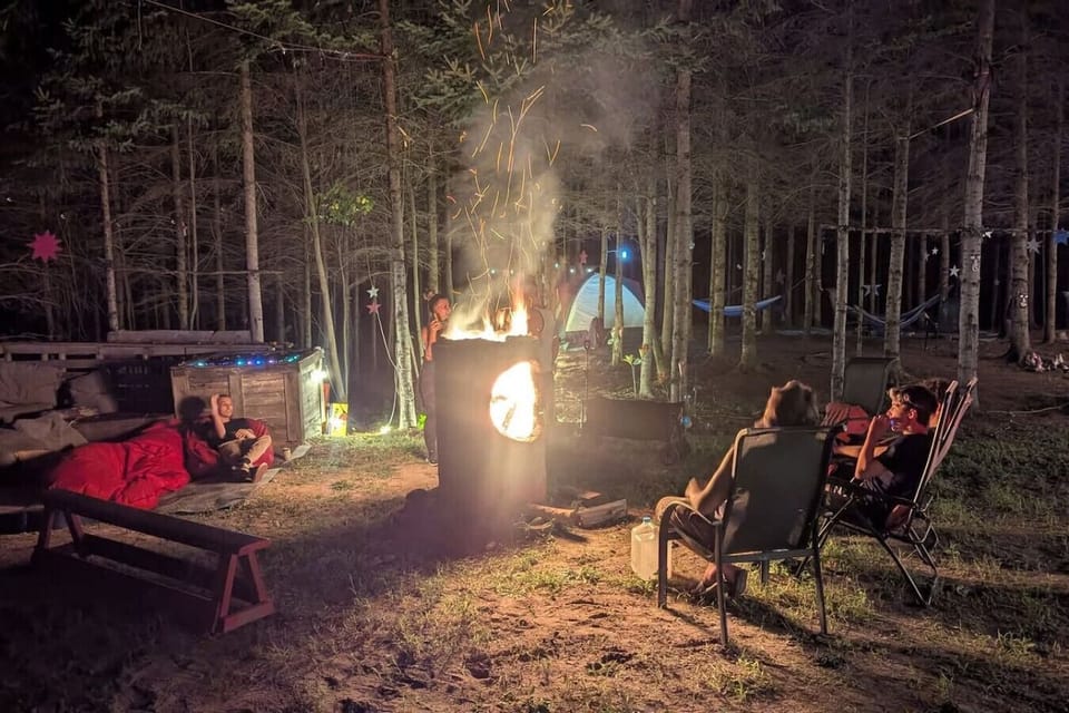 A campfire in the forest creates a warm atmosphere for convivial evenings and shared moments.