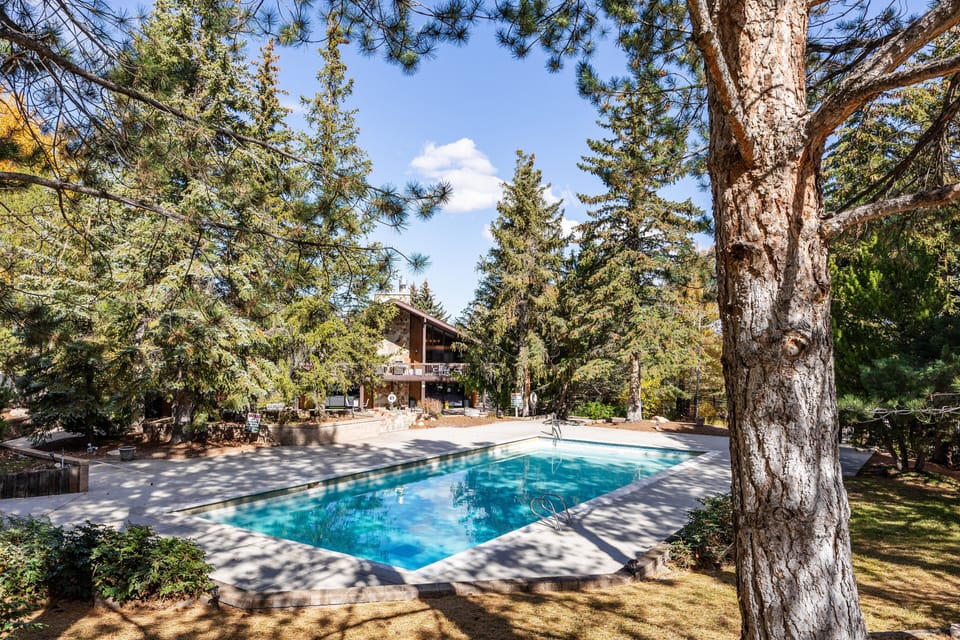 Take a refreshing dip in the outdoor pool surrounded by tall pines and mountain views. A peaceful spot to relax during summer stays, just steps from the chalet.