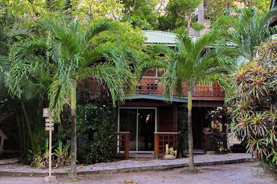 Your room is located on the second floor, embraced by vibrant island nature 