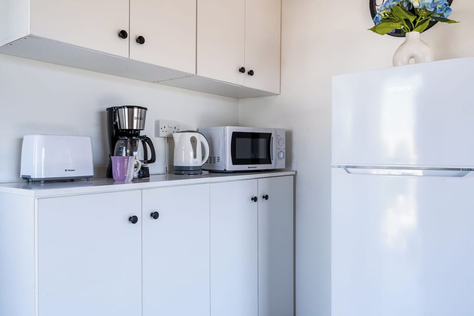 Apartment, 1 Double Bed with Sofa bed, Balcony, City View | Private kitchenette | Full-size fridge, microwave, stovetop, espresso maker