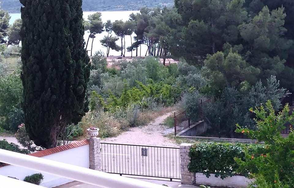 view-from-room