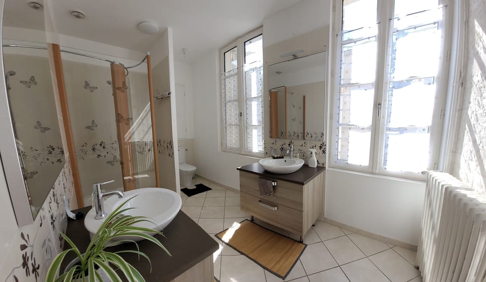 Comfort Double Room, Garden View | Bathroom | Hair dryer, soap, shampoo, toilet paper