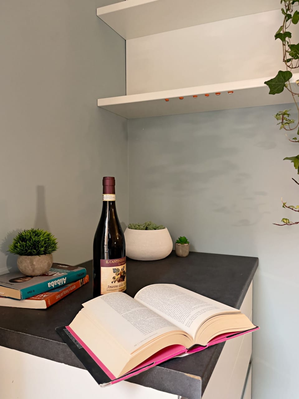 House | 1 bedroom