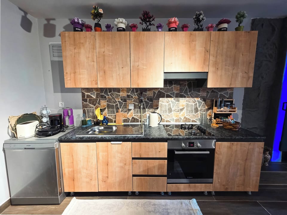 Fridge, oven, stovetop, dishwasher