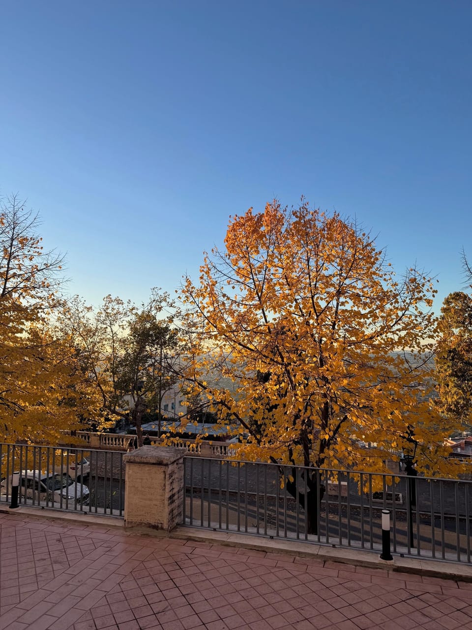 Rooftop terrace