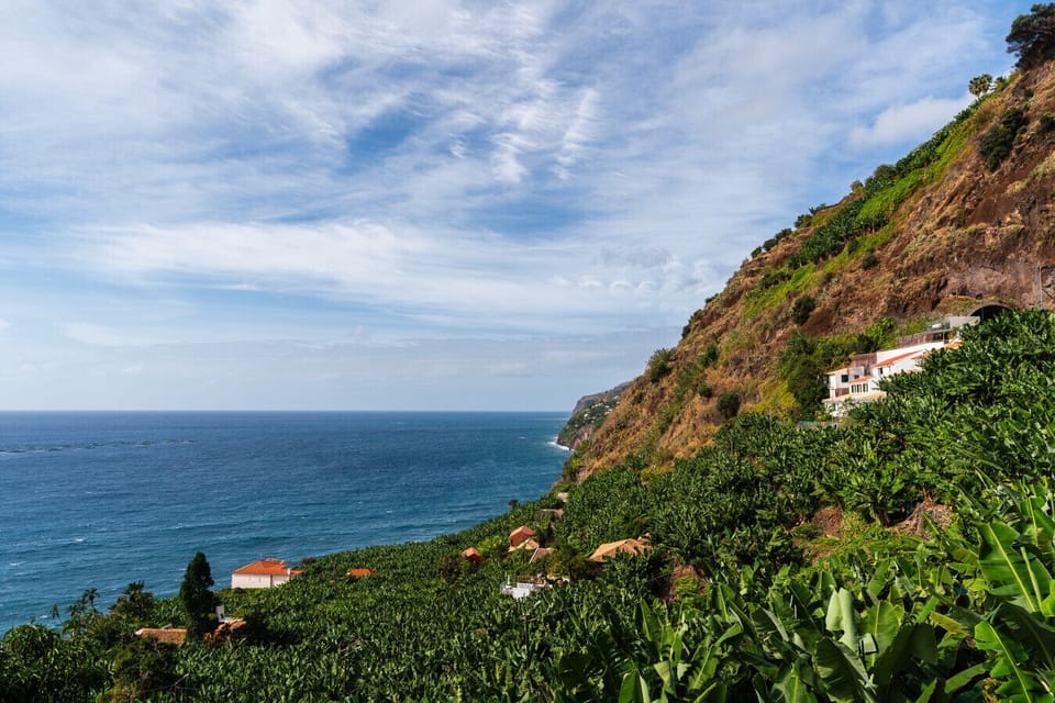 Banana terraces above the Atlantic, Madeira.