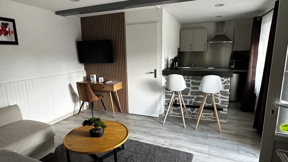 Apartment, Park View | Minibar, desk, laptop workspace, free WiFi