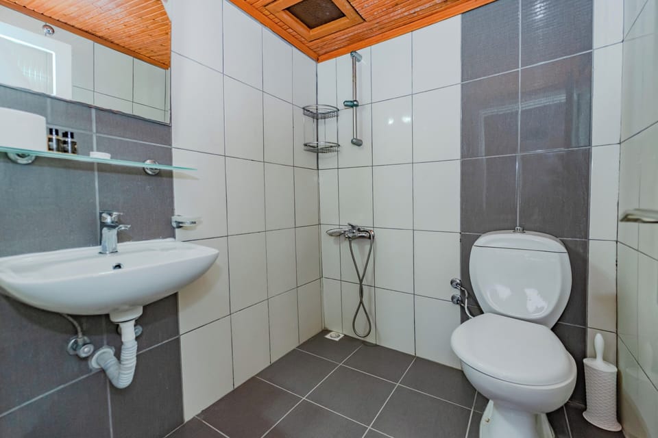 Shower, free toiletries, hair dryer, slippers