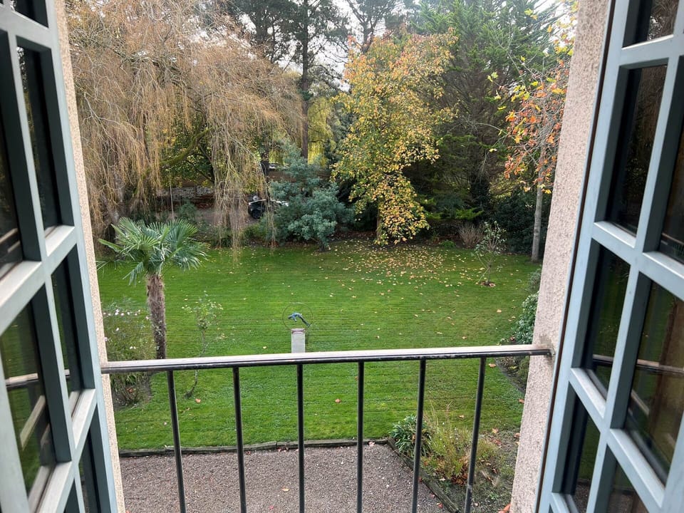 vue jardin églantine
