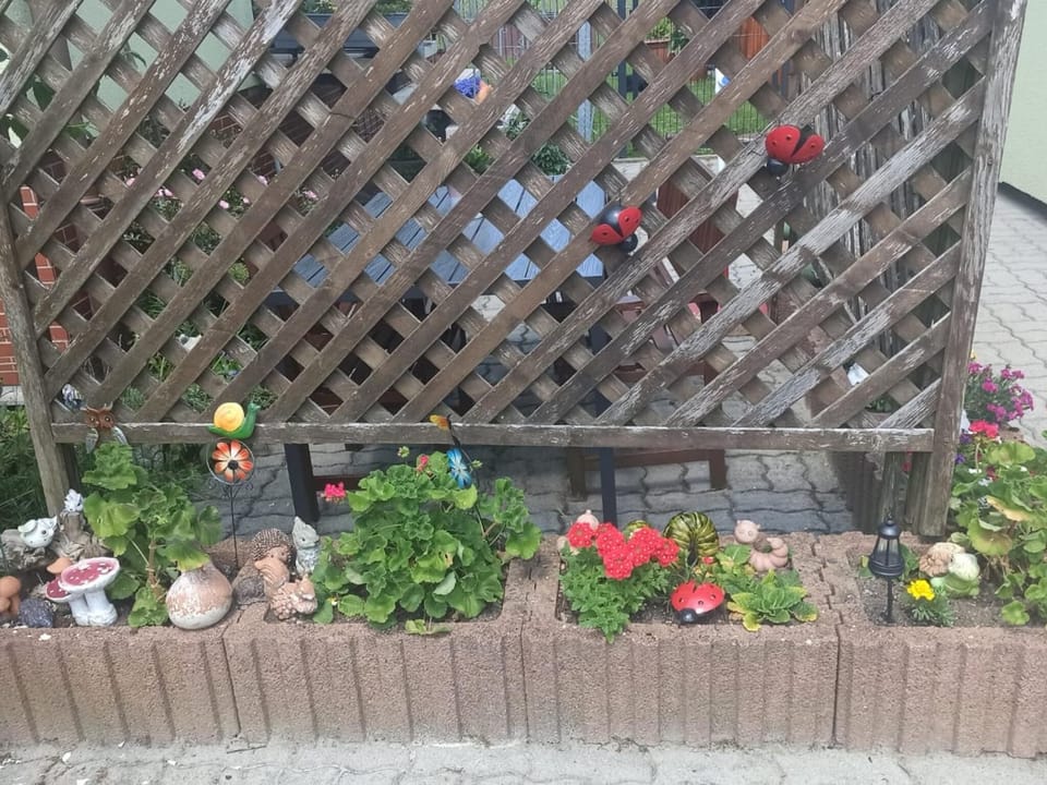 Garden [summer]