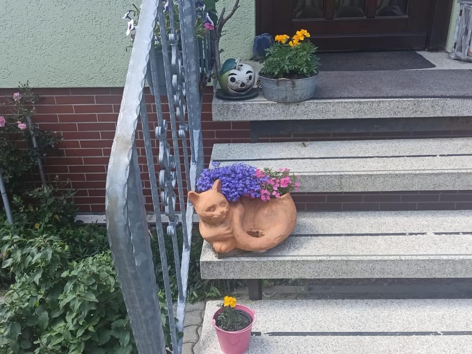 Garden [summer]