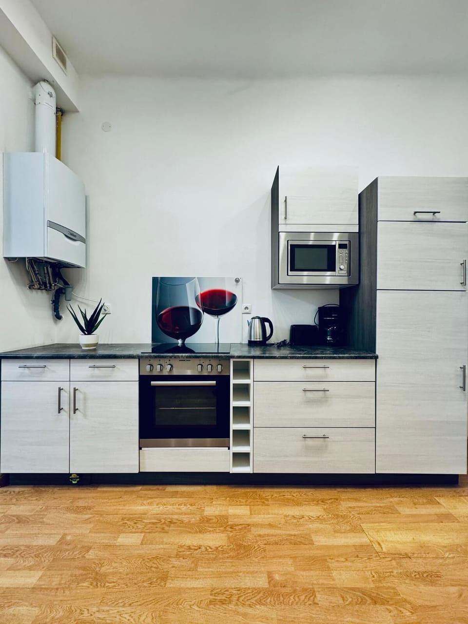 Basic Apartment | Private kitchen | Fridge, microwave, oven, stovetop