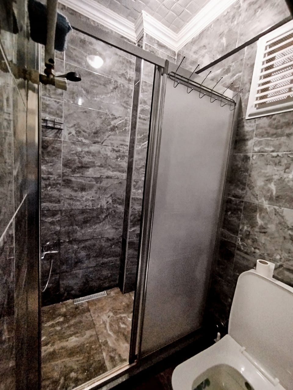 Shower, hair dryer, soap, toilet paper