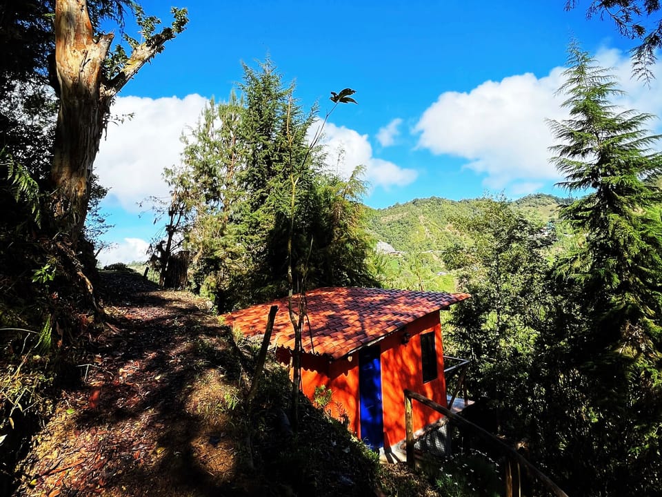 Cabin, 1 Bedroom, Smoking, Balcony | Exterior