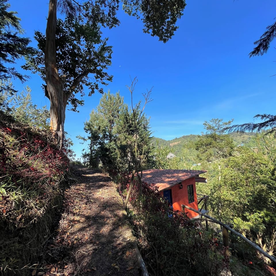 Cabin, 1 Bedroom, Smoking, Balcony | Property grounds