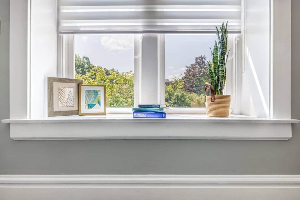 Dining Room Windows