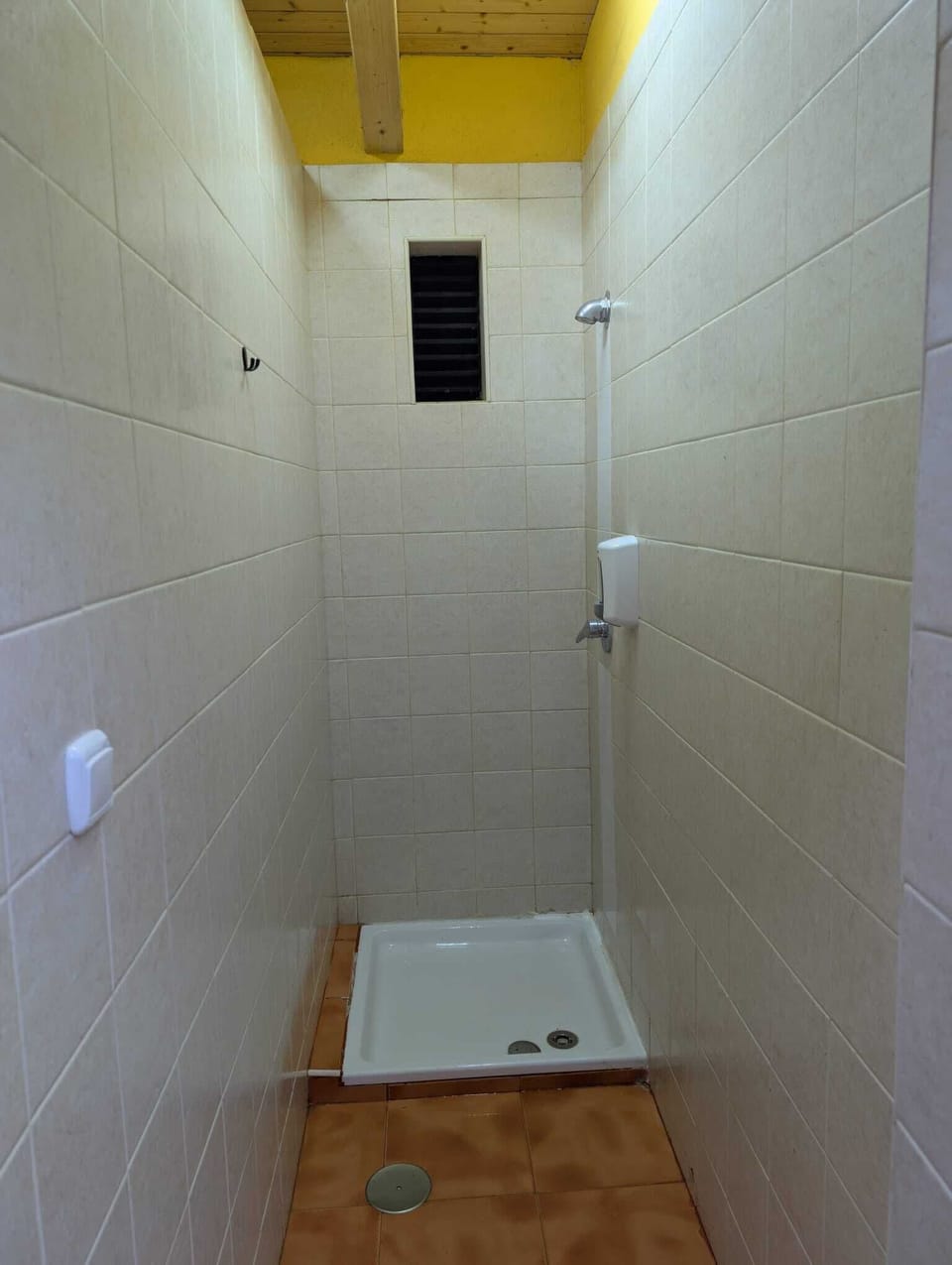 Shower, hair dryer