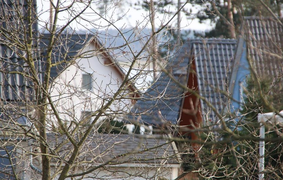 view-from-room