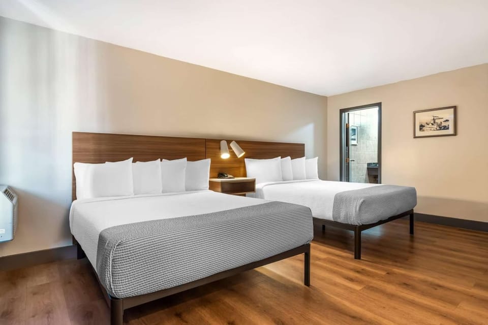 Two soft beds, bedside lamps, and wood floors in bright space