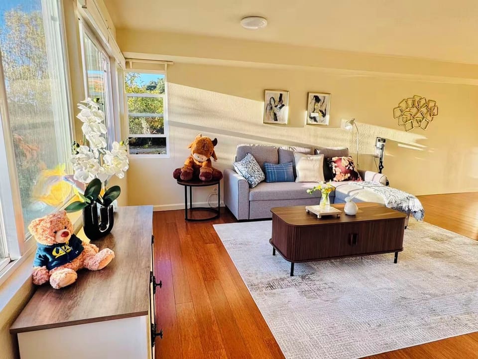 Bright and comfortable living room filled with natural light