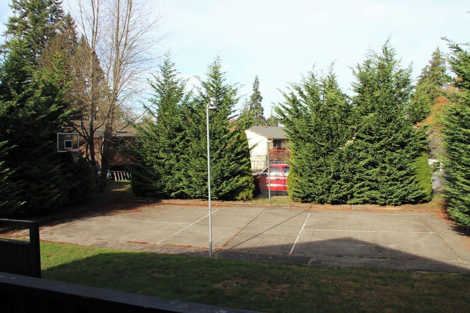 Paved sports court with basketball hoop.  Excellent for little children or pets 