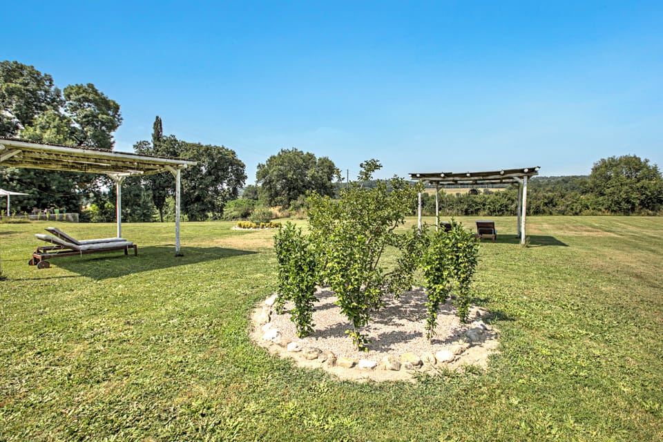 Shared Garden