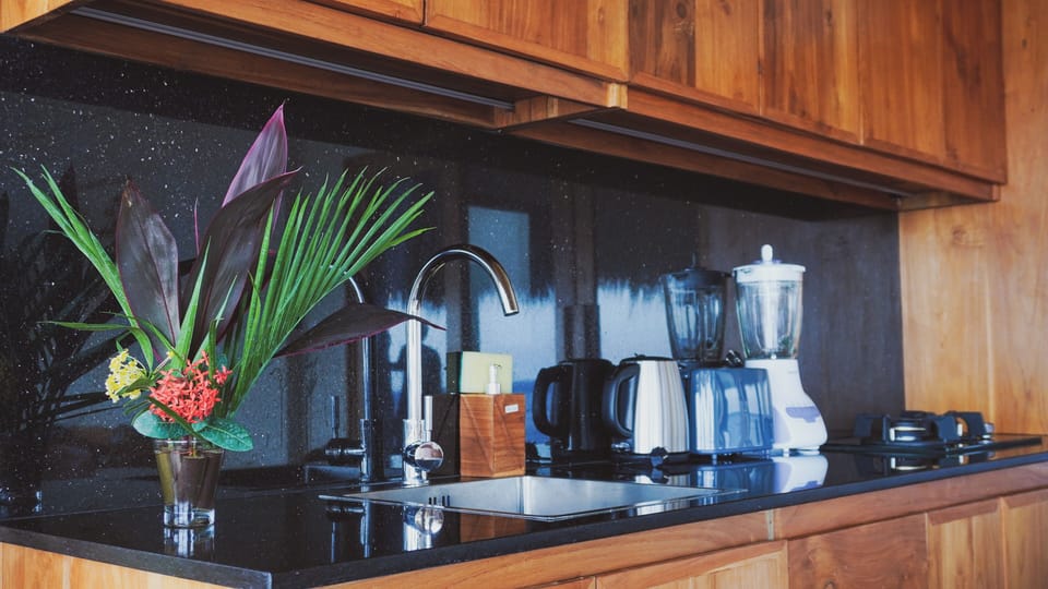 Fridge, stovetop, cookware/dishes/utensils