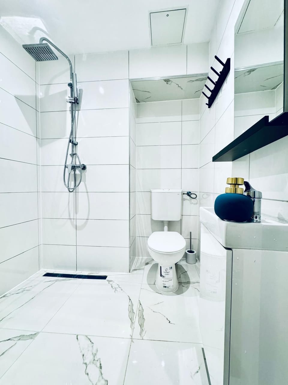 Basic Apartment | Bathroom | Shower, free toiletries, hair dryer, towels