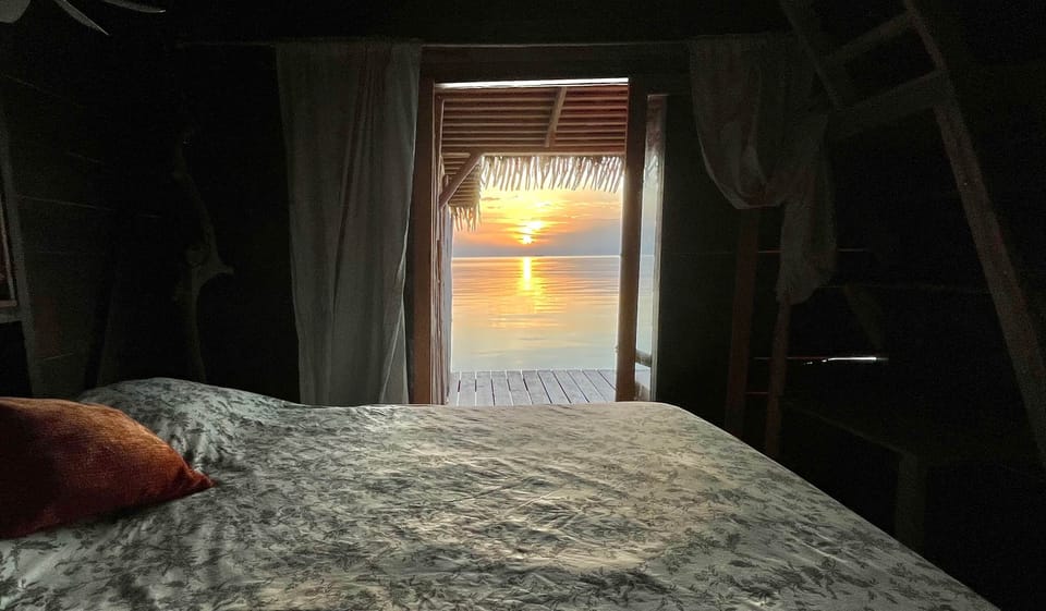 Panoramic Bungalow, 1 Bedroom, Ocean View | Premium bedding, down comforters, Select Comfort beds
