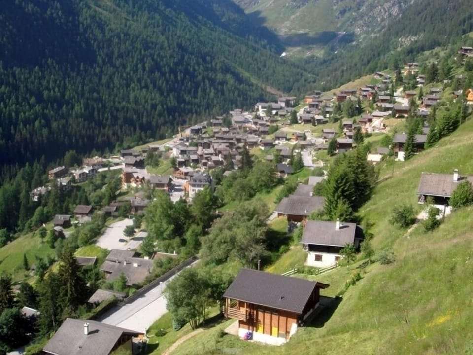Village View