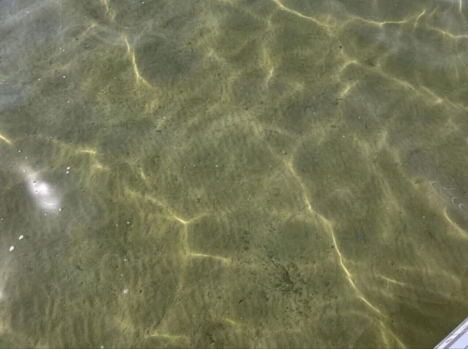 Sandy Shores