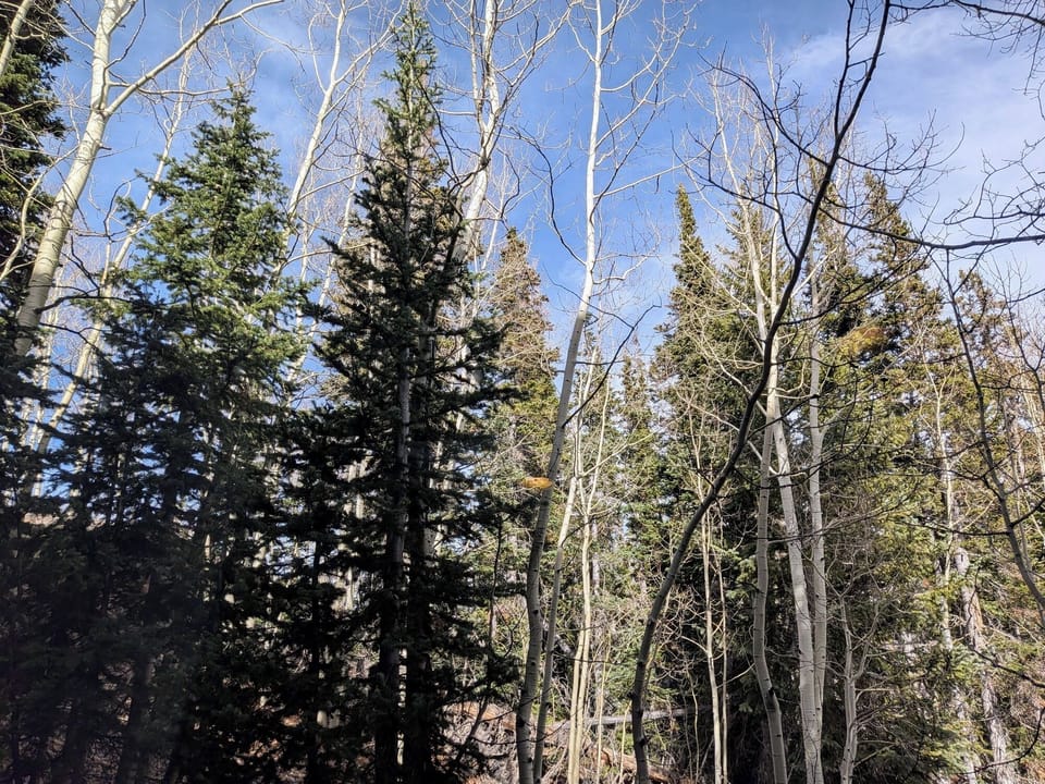 View from the bedrooms