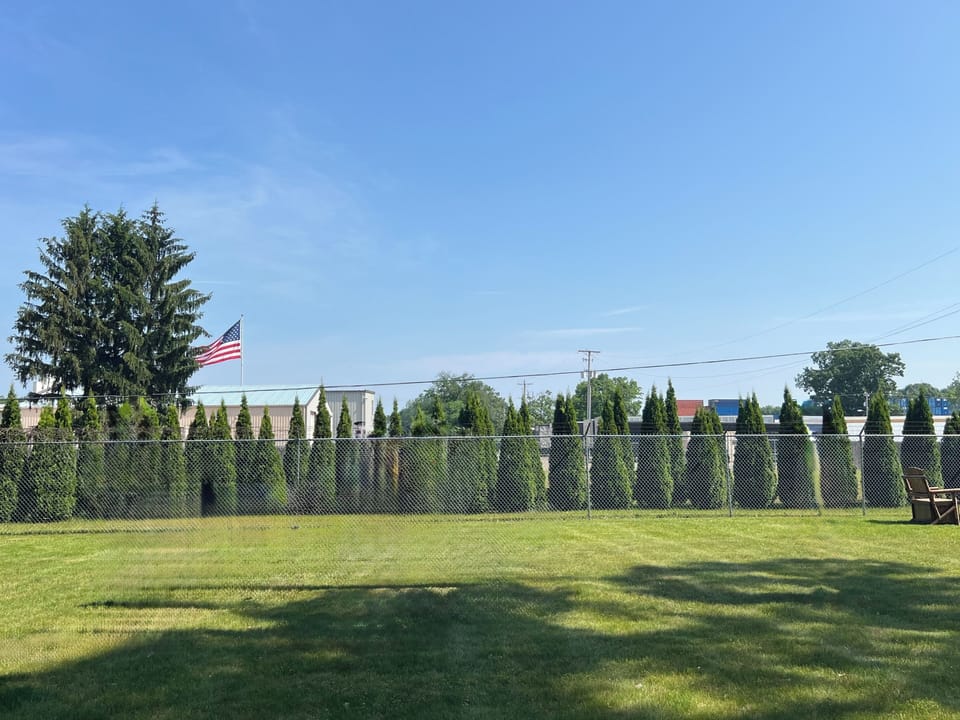 Back yard