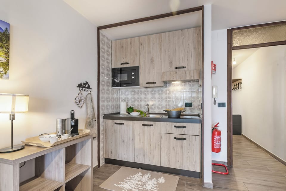 Family Apartment, Multiple Bedrooms (Prestige Eleven In The Center Of Town) | Private kitchen | Fridge, microwave, stovetop, coffee/tea maker
