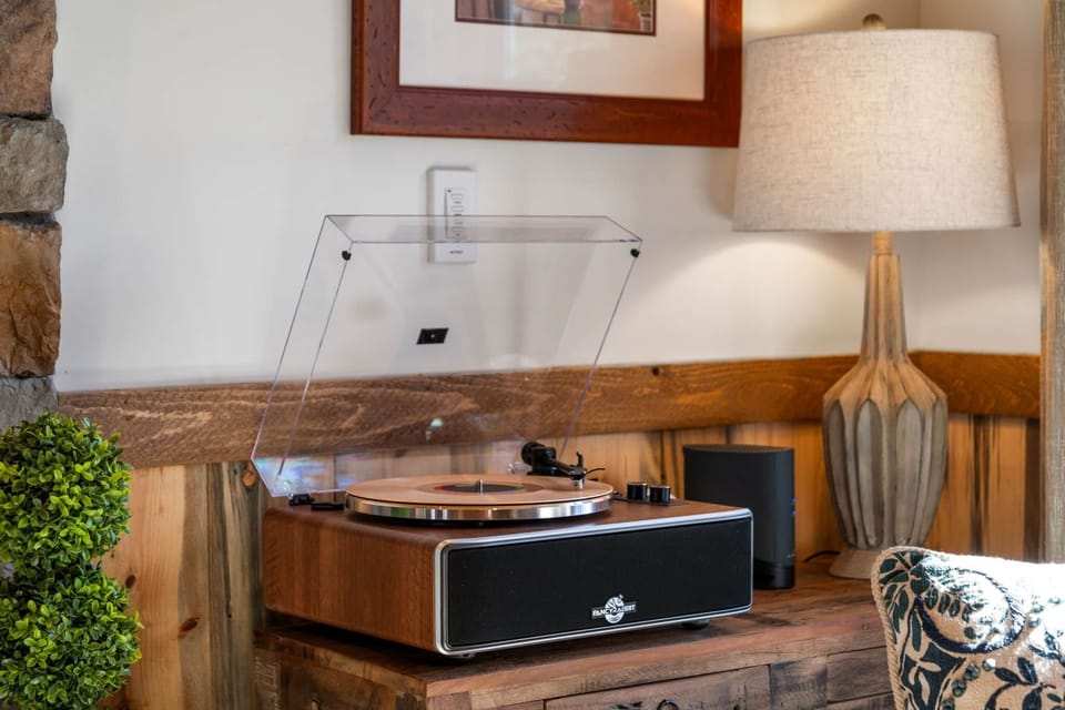 Record Player & Bluetooth Speaker